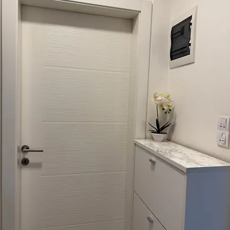 Xenia * 비옐리나